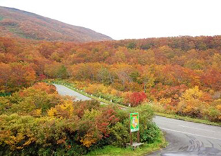 大平山荘から見る紅葉